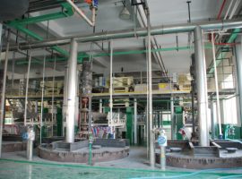 Spectacol de fabrică (3)